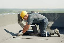 Best Roof Moss and Algae Removal  in Fruitvale, CO